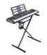 Casio LK-S250 Casiotone Electric & Portable Keyboard With Stand 61 Keys