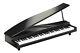 KORG Micro Mini Piano Keyboard 61 Key Black Japan With Tracking