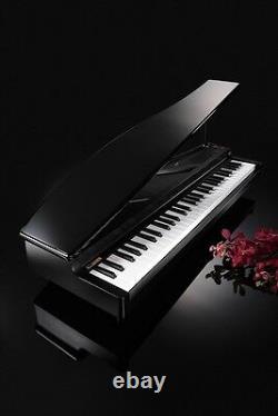 KORG Micro Mini Piano Keyboard 61 Key Black Japan With Tracking